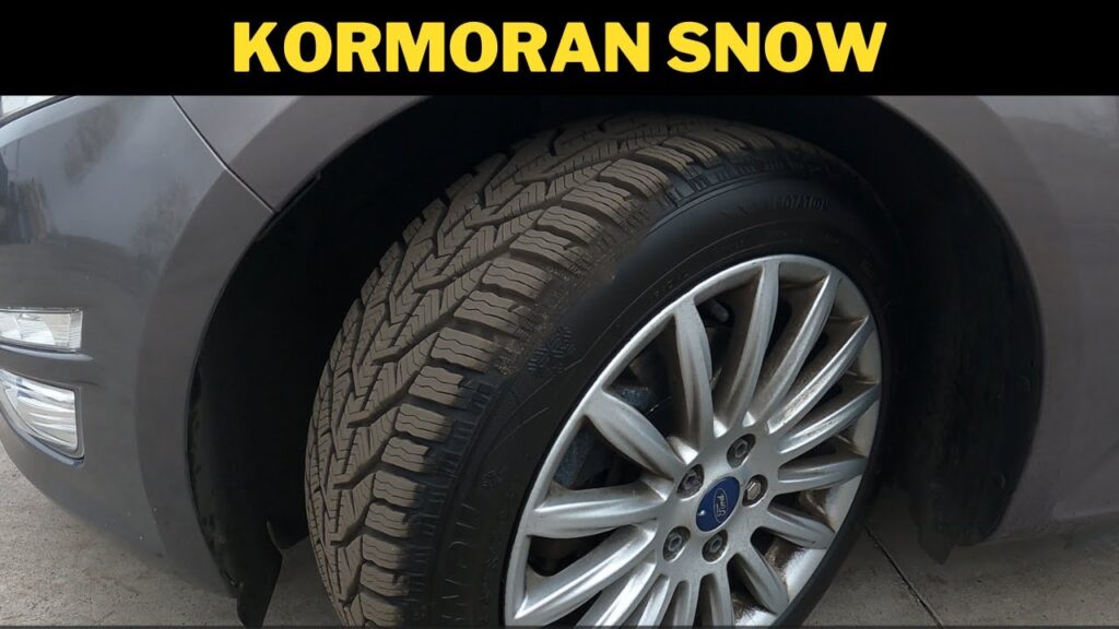Kormoran Snow